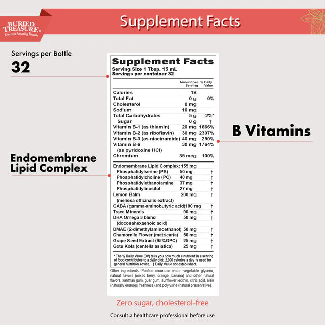 Added Attention - Children’s Brain and Learning Support Supplement, Includes DHA, Vitamins B, DMAE, 16 oz, 32 Servings