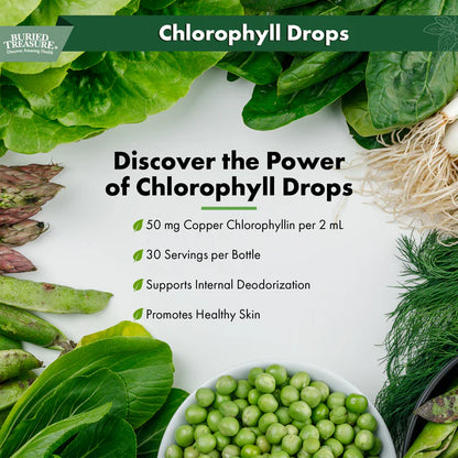 Chlorophyll Drops - Liquid Chlorophyll Supplement for Detoxification and Cleansing Support, 50mg per Serving