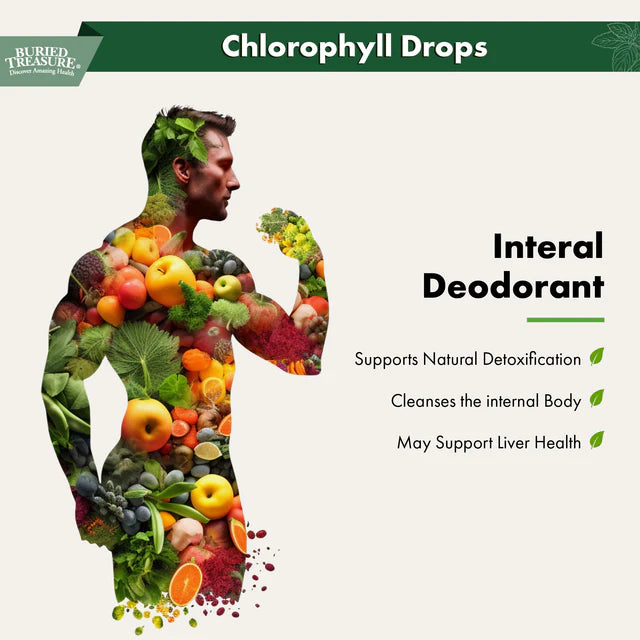 Chlorophyll Drops - Liquid Chlorophyll Supplement for Detoxification and Cleansing Support, 50mg per Serving