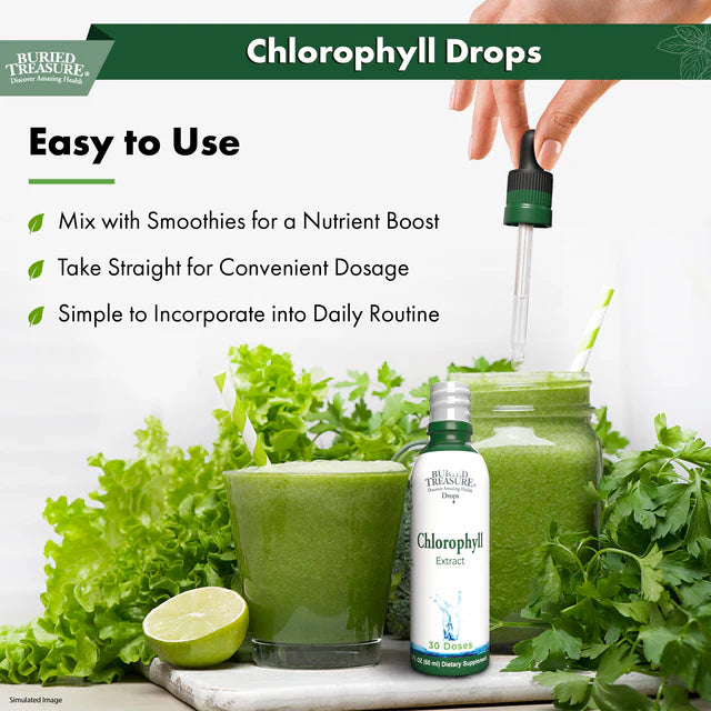 Chlorophyll Drops - Liquid Chlorophyll Supplement for Detoxification and Cleansing Support, 50mg per Serving