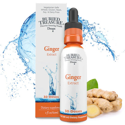 Ginger Drops - Alcohol-Free Liquid Ginger Root Extract for Natural Digestive Support, 300mg per Serving