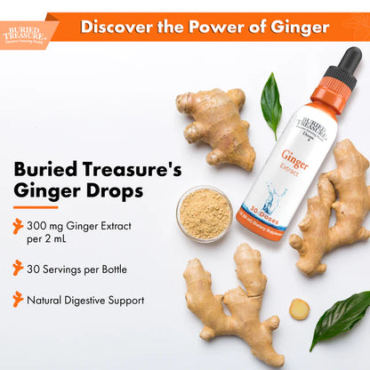 Ginger Drops - Alcohol-Free Liquid Ginger Root Extract for Natural Digestive Support, 300mg per Serving