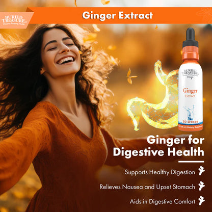 Ginger Drops - Alcohol-Free Liquid Ginger Root Extract for Natural Digestive Support, 300mg per Serving