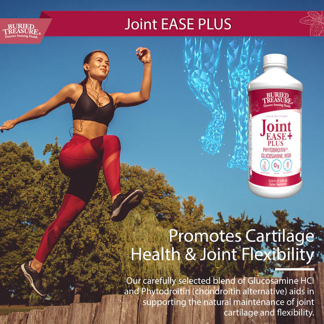 Joint Ease Plus | Glucosamine Chondroitin with MSM and Turmeric | Joint Support Supplement | 16 fl oz