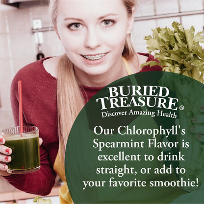 Liquid Chlorophyll 100 mg Chlorophyll Energy Support & Detox - 16 servings