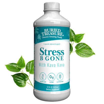 Stress B Gone Liquid Supplement, with B-Complex Vitamins & Herbal Blend, 16 servings